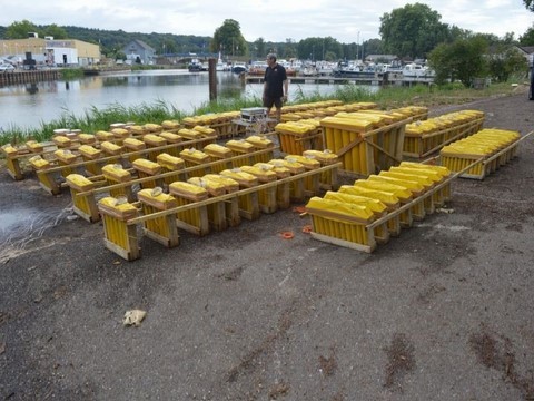 diaporama artificier equipe arti show