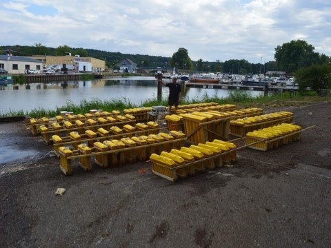 diaporama artificier equipe arti show